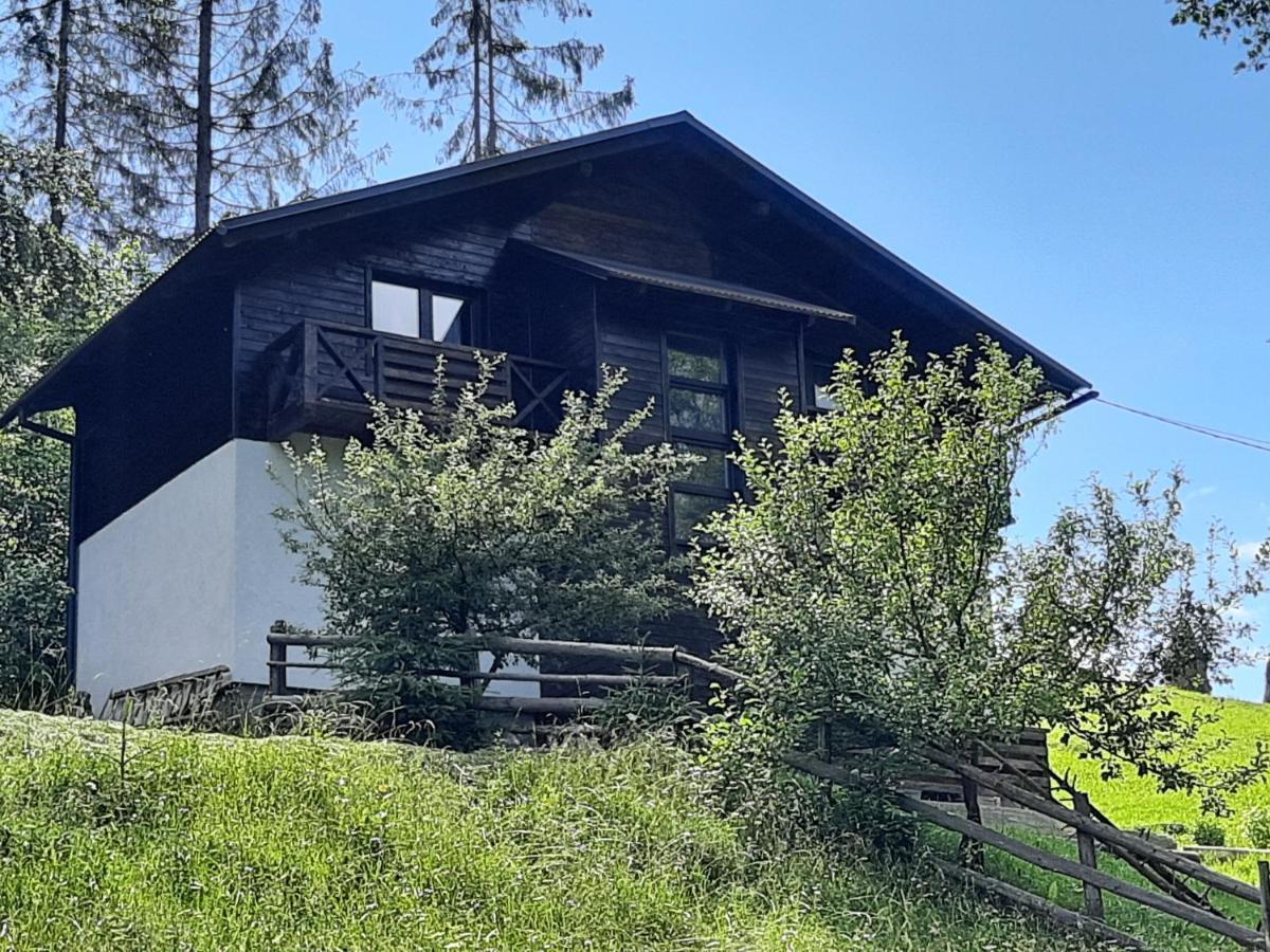 Під Боржавою Pilipets Exterior foto