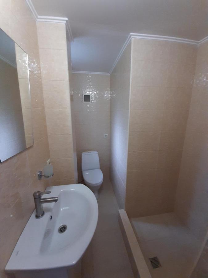 Під Боржавою Pilipets Exterior foto